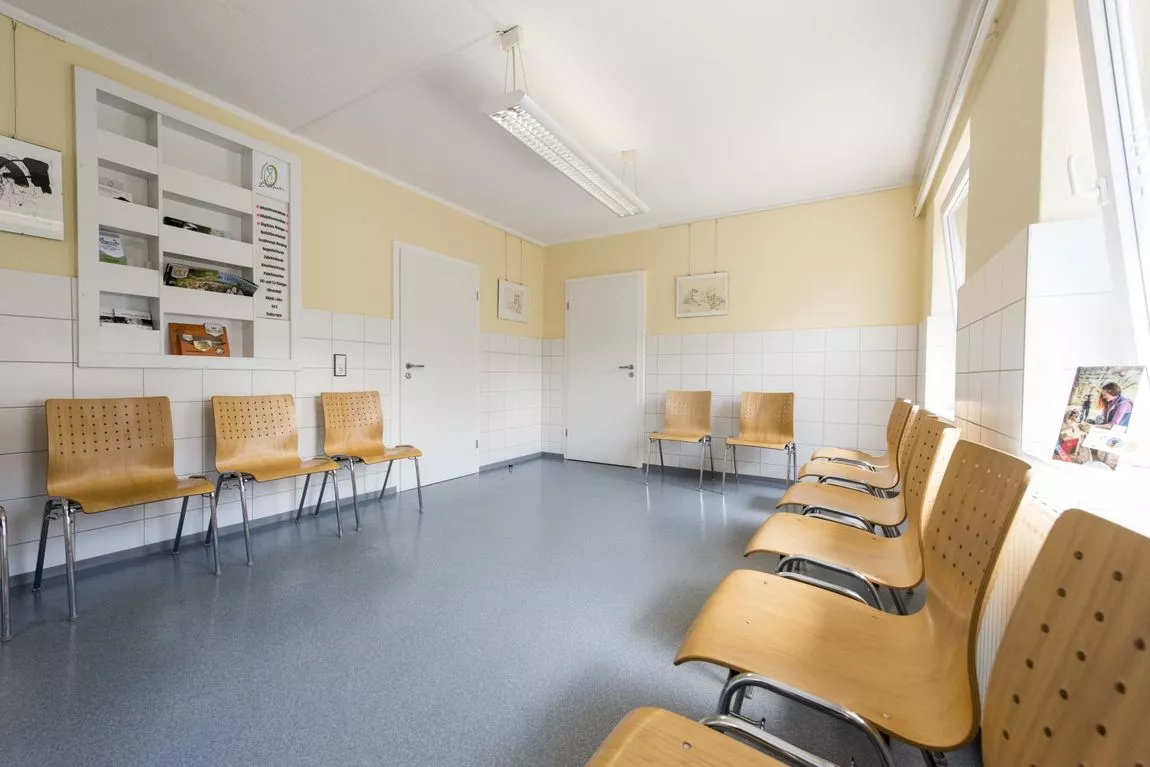 Wartezimmer mit hellen Wänden, mehreren Holzstühlen mit Metallbeinen entlang der Wände und großen Fenstern auf der rechten Seite