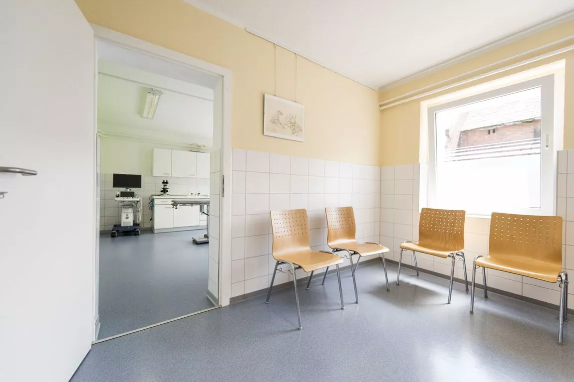 Wartezimmer mit hellen Wänden, mehreren Holzstühlen mit Metallbeinen entlang der Wände und großen Fenstern auf der rechten Seite