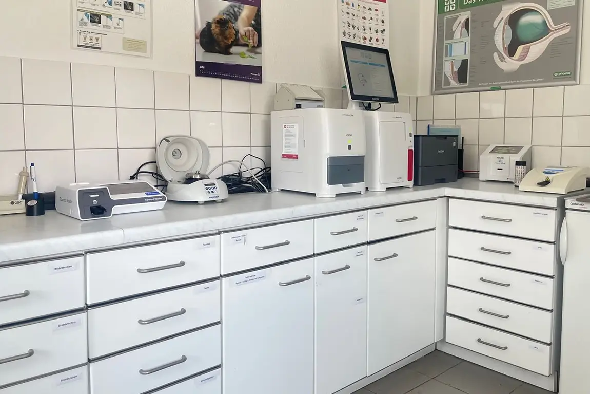 Laborarbeitsplatz mit weißen Schränken, verschiedenen Laborgeräten und medizinischen Postern an der Wand