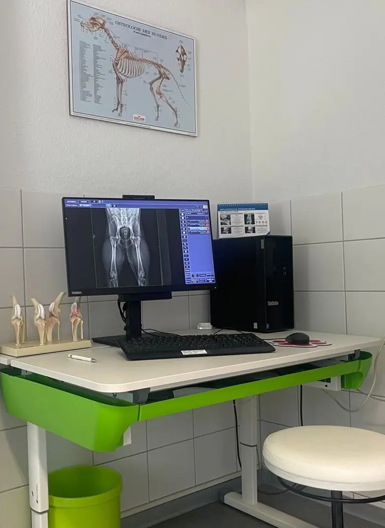 Schreibtisch mit Computer, auf dessen Bildschirm ein Röntgenbild von Tierbeinen zu sehen ist, daneben anatomische Modelle von Gelenken und ein Hocker in einem weißen Raum mit Kacheln an der Wand